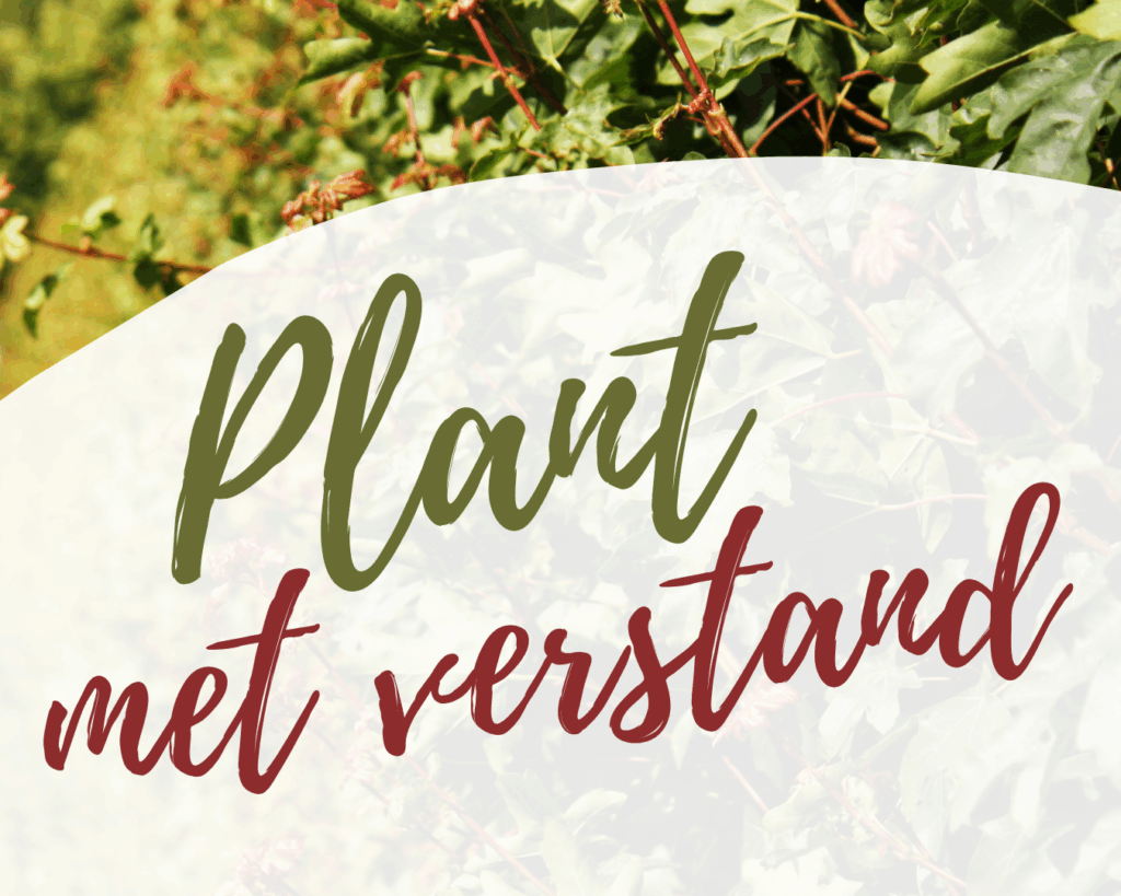 Een goede bodemstructuur is essentieel voor sterke wortels en een dichte, groeikrachtige haag. Plant slim, gebruik bodemverbeteraar en zie het verschil volgend jaar!